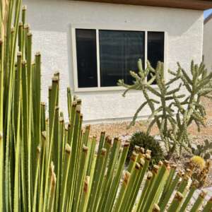 Solar Security Screen